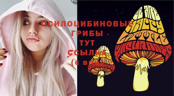 дурь Навашино