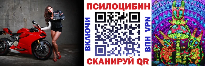 Псилоцибиновые грибы мухоморы  hydra ONION  Новокубанск 