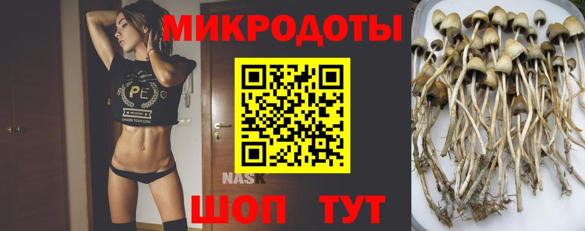 Галлюциногенные грибы мухоморы Новокубанск