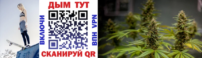цены Новокубанск ОМГ ОМГ онион Бошки марихуана ГИДРОПОН